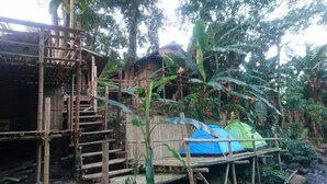 A rustic wooden structure with a staircase, a blue and green tent, and dense foliage in the background. - Hill Tribe Art House (Chiang Rai)