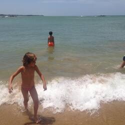 在海滩、水肺潜水