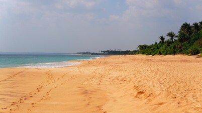 All view resort