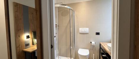 A modern bathroom with a glass-enclosed shower, a toilet, and a vanity with a mirror.