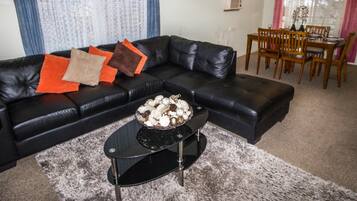 Televisie, Netflix, een dvd-speler en streamingdiensten