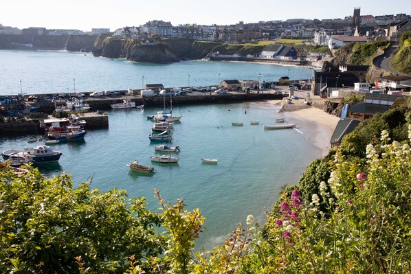 ビーチ / オーシャン ビュー