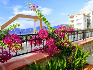 Property grounds - Aegean Star (Didim)