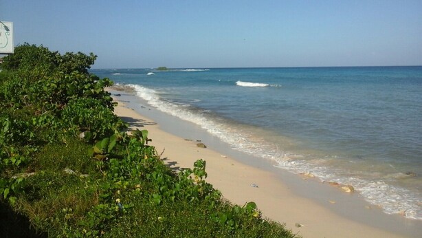 Ein Strand mit blauem Himmel und ruhigem Wasser.