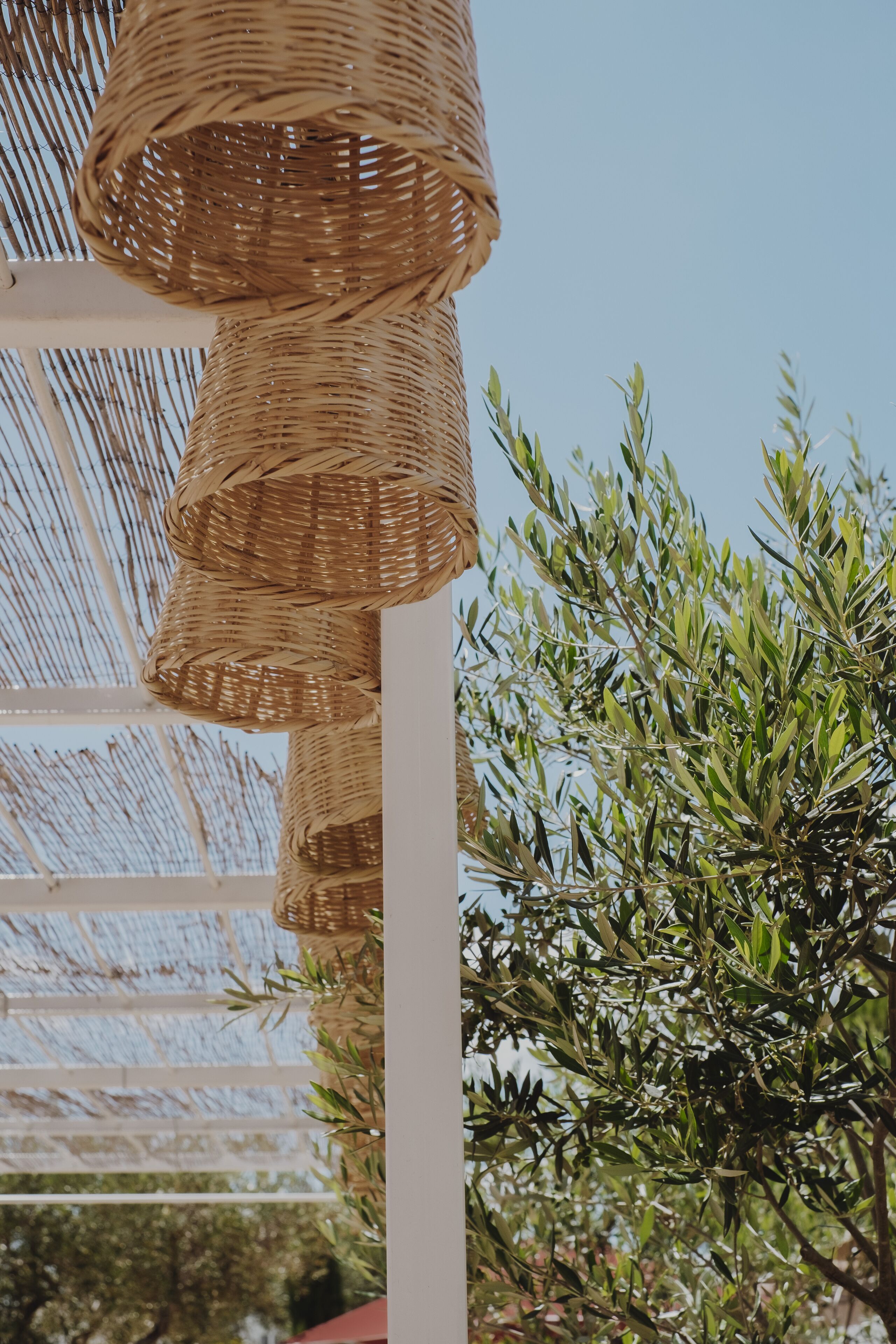 A wicker basket hanging from a white structure, possibly a pergola, with olive trees in the background.