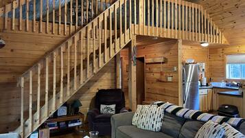 TV, DVD player, video library