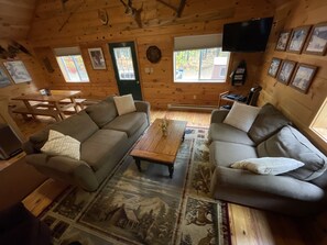 TV, DVD player, video library