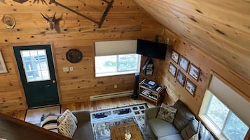 TV, DVD player, video library