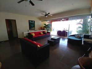 TV, DVD player, books, video library