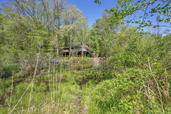 A rustic cabin surrounded by dense forest and a small pond.