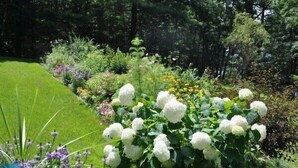 Un jardin où l’on peut admirer une grande variété de plantes et de fleurs, notamment des fleurs blanches et des fleurs jaunes.