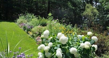 The Hideaway - Waterfront Cottage with private dock on Porter Lake - Muskoka