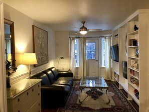 TV, fireplace, books