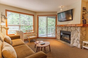 Télévision, cheminée, lecteur de DVD