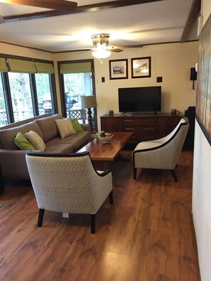 TV, DVD player, books, video library