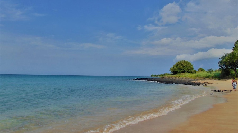 Residêncial Tamarindos