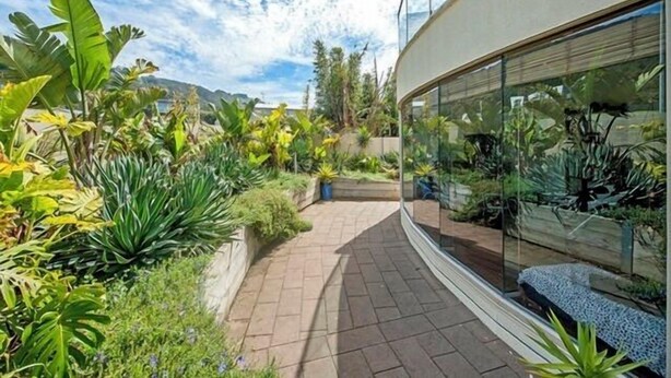 Un edificio moderno con fachada de vidrio, rodeado de exuberante vegetación tropical y un camino pavimentado.