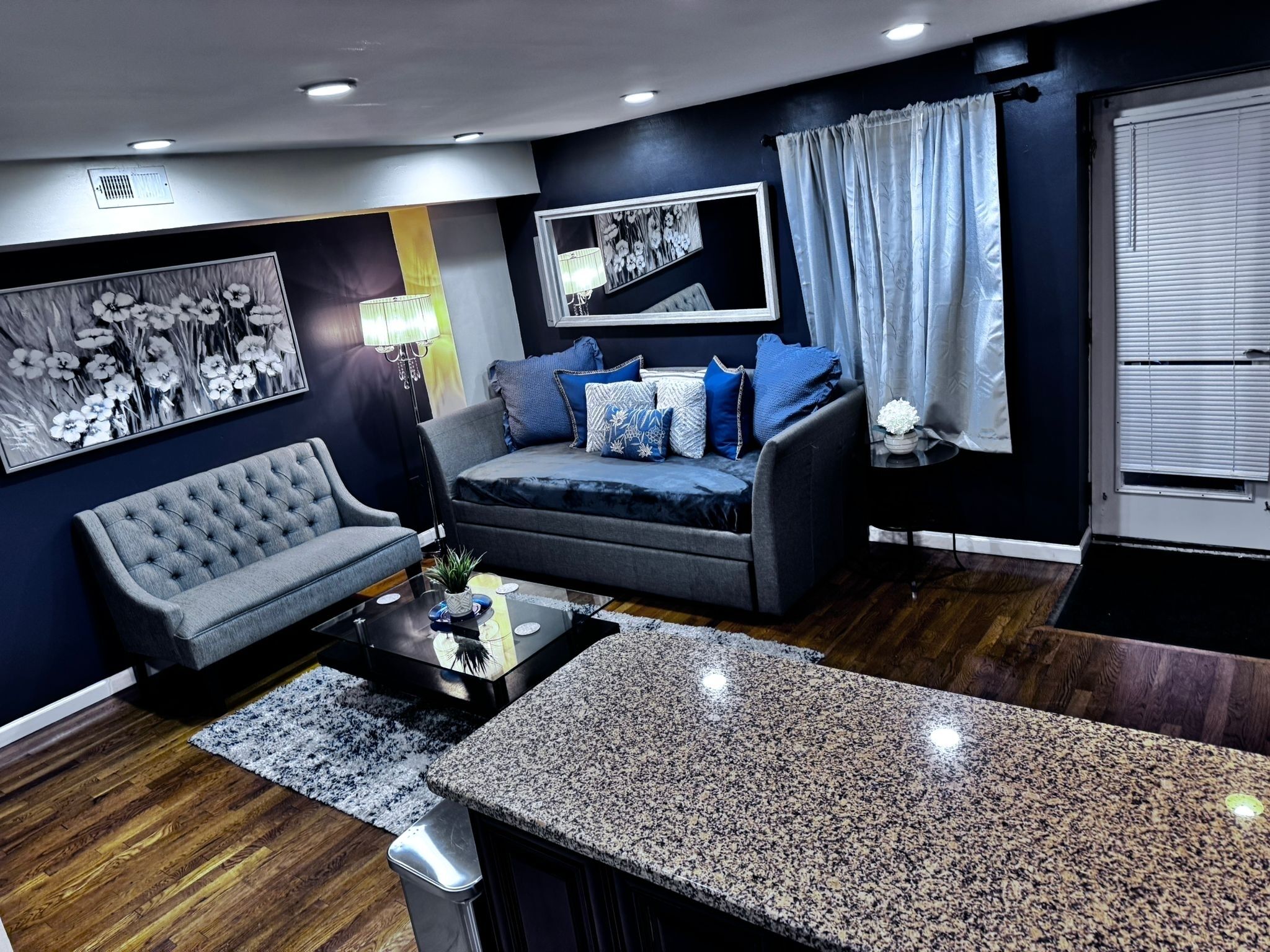 Smart TV, fireplace, DVD player, books