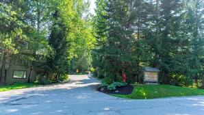 A driveway leading to a building surrounded by tall trees.