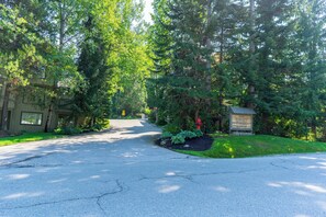 Terrain de l’hébergement 