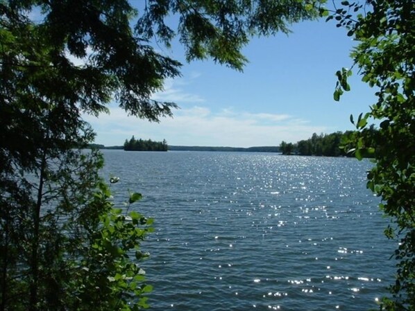 Um lago rodeado por árvores sob um céu claro.