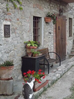 Terrass/Patio