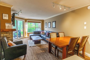 TV, fireplace, DVD player