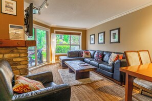 TV, fireplace, DVD player