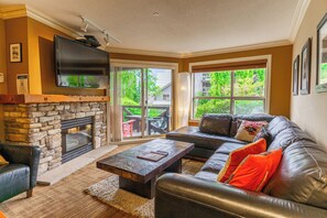 TV, fireplace, DVD player