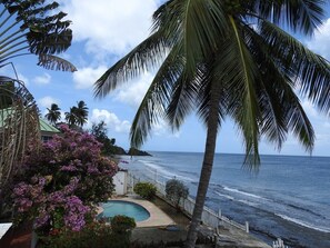 Property grounds - Hibiscus - Holiday Home with the Caribbean Sea on its Doorstep! (Black Rock)
