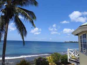 بالقرب من الشاطئ