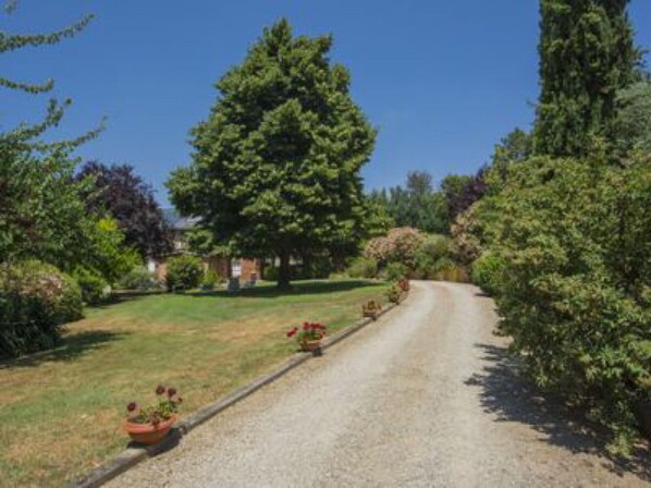 A gravel driveway leading to a building surrounded by lush greenery and trees.