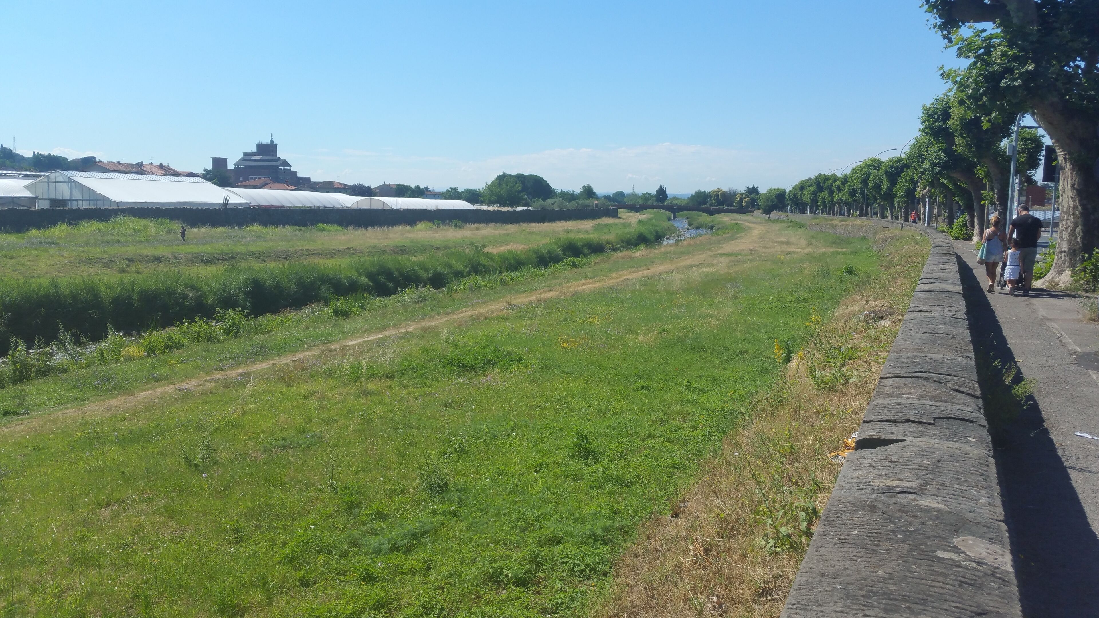 A pathway alongside a green field with a stone wall on one side and a row of trees on the other.