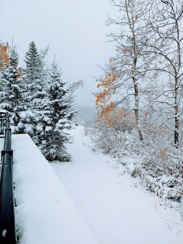 LINDA  GAYE'S HISTORIC  COTTAGE NEAR BEACH & PROMENADE  STAR # O4298