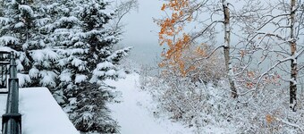 LINDA GAYE'S HISTORIC COTTAGE NEAR BEACH & PROMENADE STAR # O4298