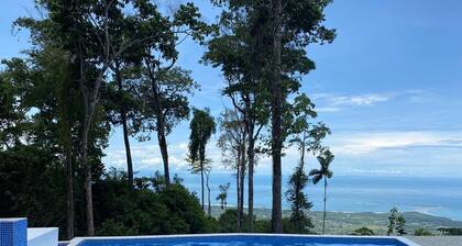 WHALES TAIL View Exotic Designer House 13 acre PRIVACY, Birding w 50 MILE VIEW