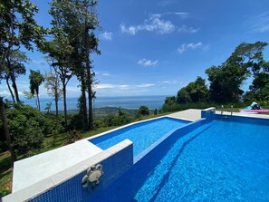 Outdoor pool, an infinity pool - WHALES TAIL View Exotic Designer House 13 acre PRIVACY, Birding  w 50 MILE VIEW (Uvita)