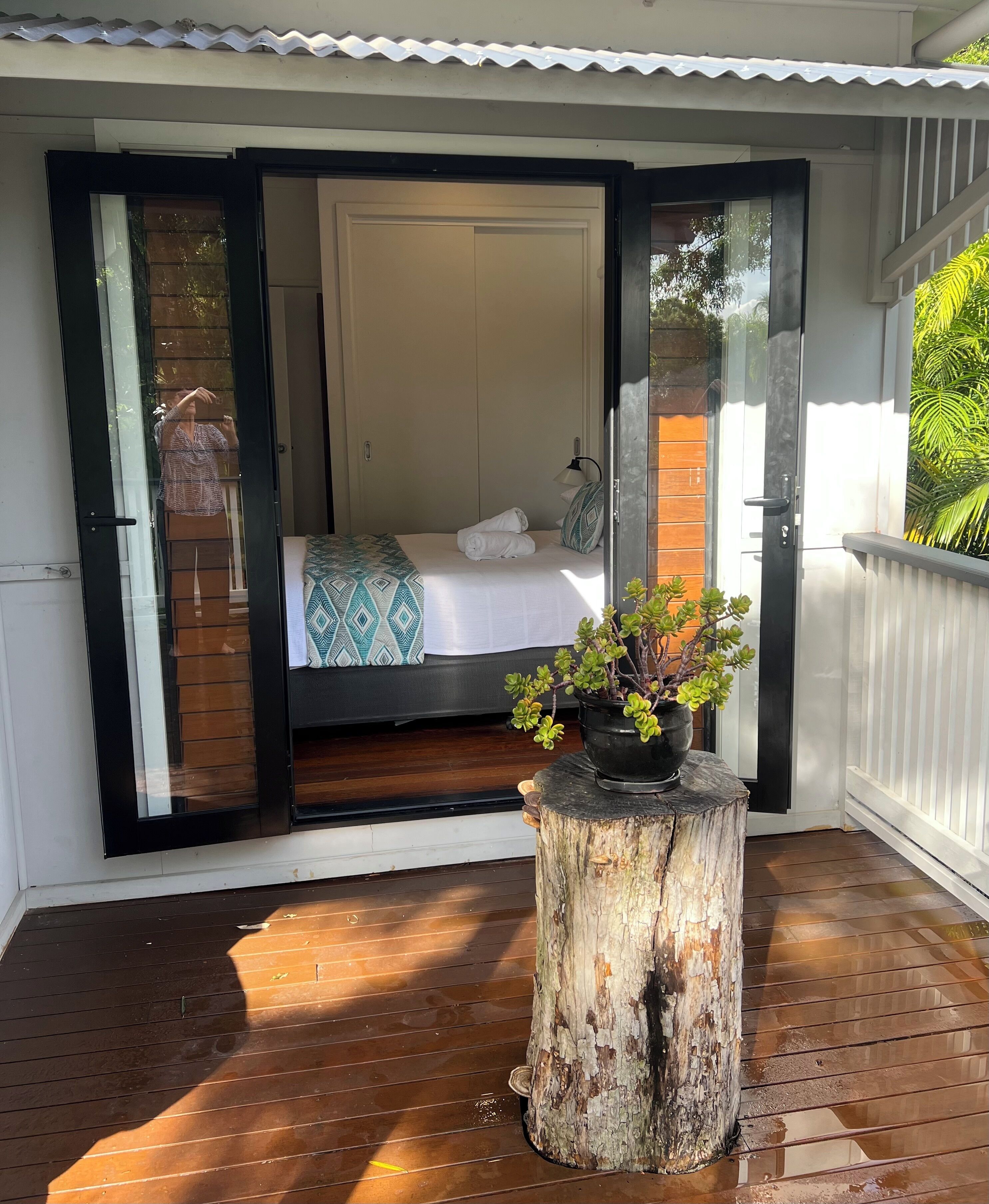 Una habitación con una cama, una planta en maceta y piso de madera.