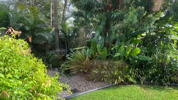 A lush garden with various plants and a pathway.