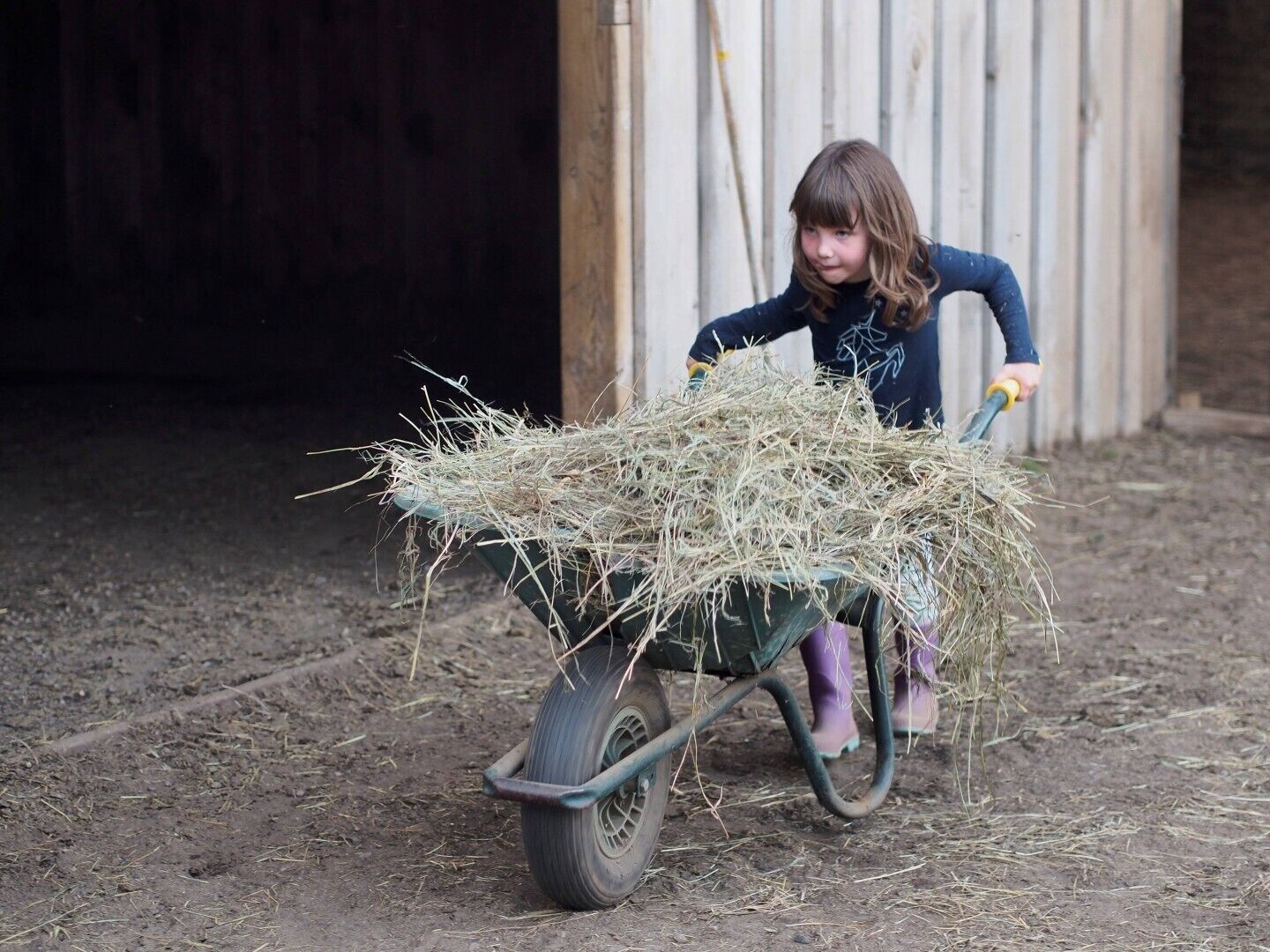 experience farm life