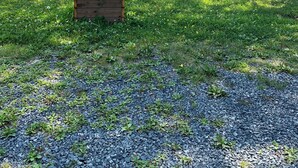 A cabin sign with a wooden post and a planter box with flowers. - Elm Bay Cabin Rentals - Cottage #1 (Dryden)