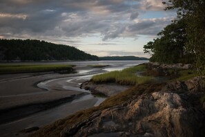 A coastal landscape with a river meandering through a grassy area, surrounded by trees and rocks.