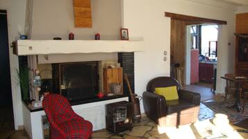 TV, caminetto, libri