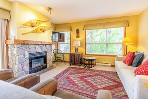 TV, fireplace, DVD player, books