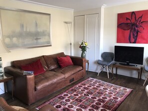 TV, fireplace, DVD player, books