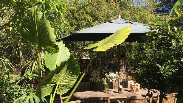 Een terras buiten met een houten tafel en stoelen, omgeven door weelderig groen en een grote parasol voor schaduw.