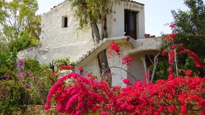 A white building with a stone wall and vibrant pink flowers. - Apartment in residence with panoramic sea view terrace SEA VIEW (Santa Maria Navarrese)