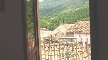 Camera singola, bagno privato | Balcone