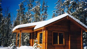 Una cabaña de madera con un porche cubierto y un techo cubierto de nieve, rodeada de árboles.