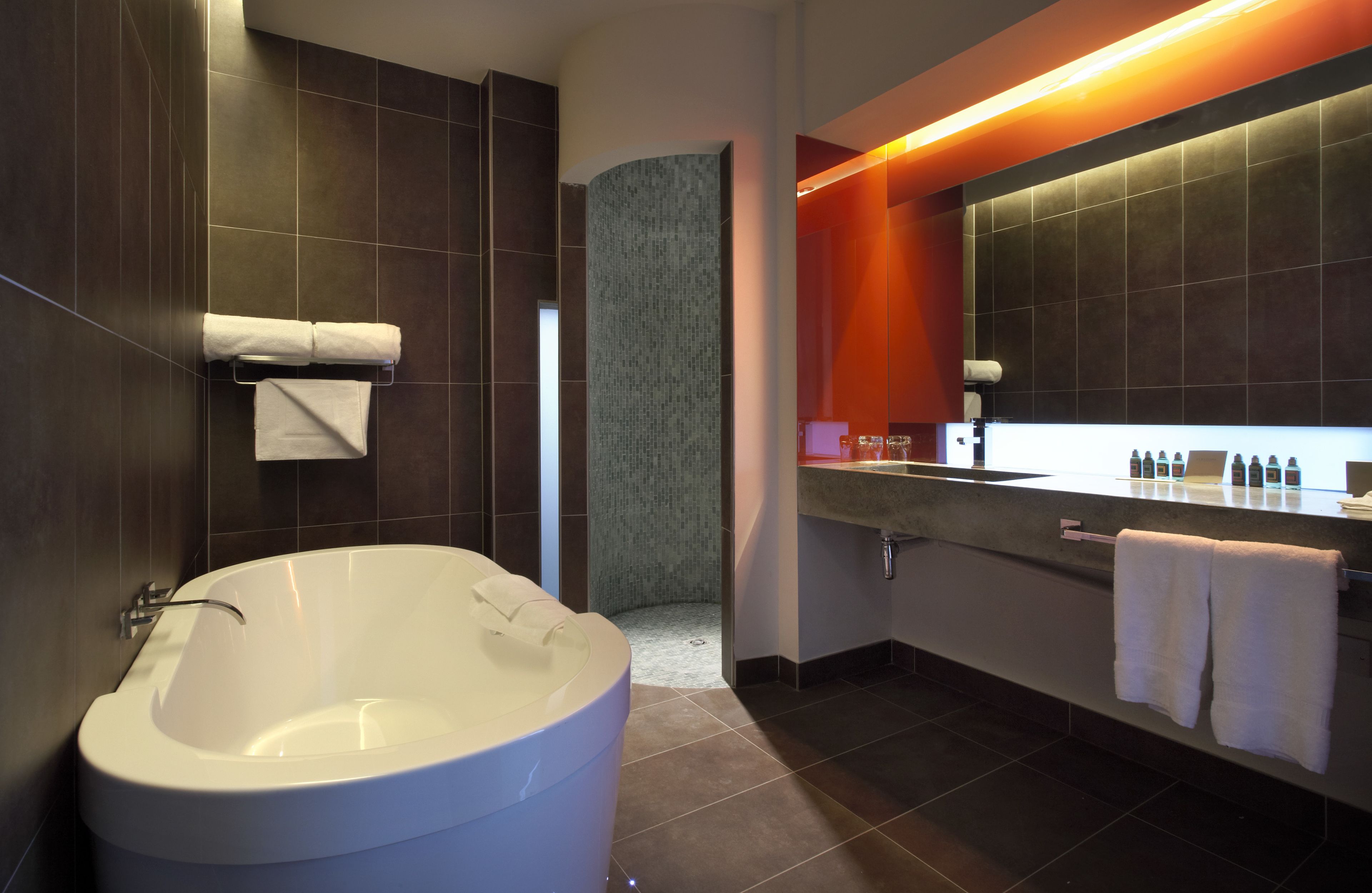 deluxe double or twin room, 1 king bed, river view | bathroom | separate bathtub and shower, rainfall showerhead, free toiletries